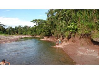 Foto 14 de FUNDO PLANO Y FÉRTIL DE 272 HA. EN ISCOZACN - PALCAZÚ / OXAPAMPA