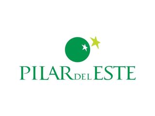 Foto 9 de Venta de lote en Santa Elisa - Pilar del Este ¡Gran oportunidad!