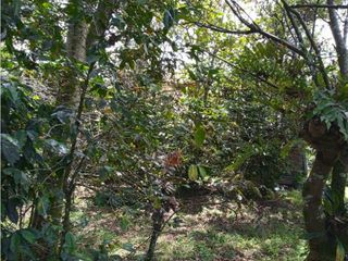 Foto 4 de SE VENDE LOTE NORTE DE POPAYAN