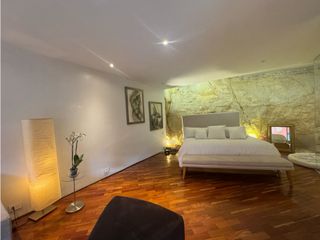 Foto 15 de SE ARRIENDA APARTAMENTO EN  ROSALES 255m2