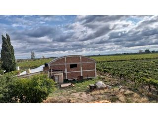Foto 3 de VENTA EXCEPCIONAL DE 99 HAS- EN SAN MARTIN, MENDOZA