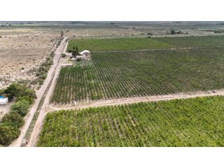 Foto 7 de VENTA EXCEPCIONAL DE 99 HAS- EN SAN MARTIN, MENDOZA