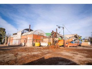 Foto 8 de VENTA DE EXCLUSIVA BODEGA EN PRODUCIÓN- SAN MARTIN, MENDOZA