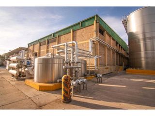 Foto 2 de VENTA DE EXCLUSIVA BODEGA EN PRODUCIÓN- SAN MARTIN, MENDOZA
