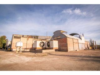 Foto 9 de VENTA DE EXCLUSIVA BODEGA EN PRODUCIÓN- SAN MARTIN, MENDOZA