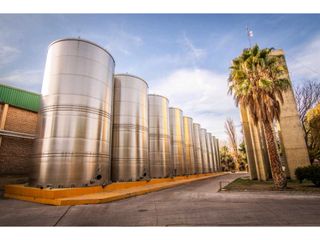 Foto 1 de VENTA DE EXCLUSIVA BODEGA EN PRODUCIÓN- SAN MARTIN, MENDOZA