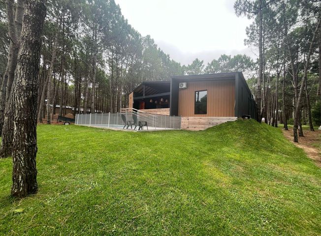 place photo 41