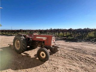 Foto 4 de VENTA DE FINCA 96 HAS CON BODEGA - SAN MARTN, MENDOZA