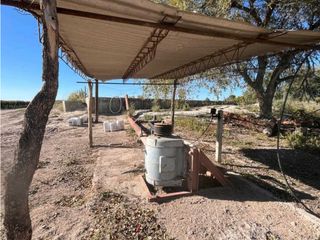 Foto 18 de VENTA DE FINCA 96 HAS CON BODEGA - SAN MARTN, MENDOZA