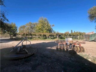 Foto 13 de VENTA DE FINCA 96 HAS CON BODEGA - SAN MARTN, MENDOZA