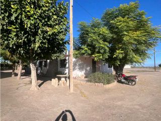 Foto 16 de VENTA DE FINCA 96 HAS CON BODEGA - SAN MARTN, MENDOZA