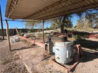 Foto 17 de VENTA DE FINCA 96 HAS CON BODEGA - SAN MARTN, MENDOZA
