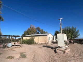 Foto 14 de VENTA DE FINCA 96 HAS CON BODEGA - SAN MARTN, MENDOZA