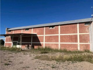 Foto 3 de VENTA DE FINCA 96 HAS CON BODEGA - SAN MARTN, MENDOZA