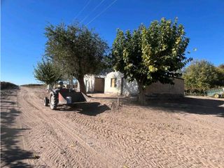 Foto 15 de VENTA DE FINCA 96 HAS CON BODEGA - SAN MARTN, MENDOZA