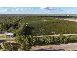 Foto 1 de VENTA DE 40 HAS EN LA DORMIDA, SANTA ROSA- MENDOZA