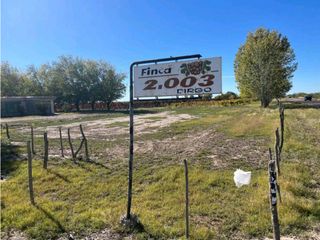 Foto 20 de VENTA DE 40 HAS EN LA DORMIDA, SANTA ROSA- MENDOZA