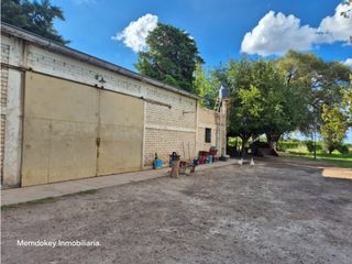 Foto 7 de VENTA DE 40 HAS EN LA DORMIDA, SANTA ROSA- MENDOZA