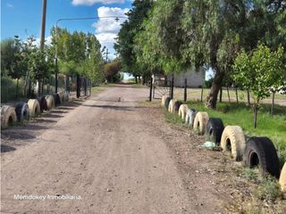Foto 2 de VENTA DE 40 HAS EN LA DORMIDA, SANTA ROSA- MENDOZA