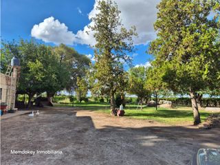 Foto 10 de VENTA DE 40 HAS EN LA DORMIDA, SANTA ROSA- MENDOZA
