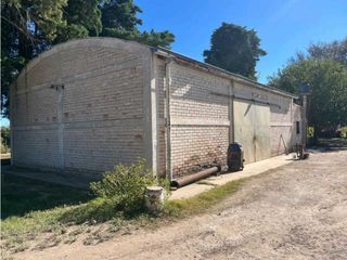 Foto 6 de VENTA DE 40 HAS EN LA DORMIDA, SANTA ROSA- MENDOZA