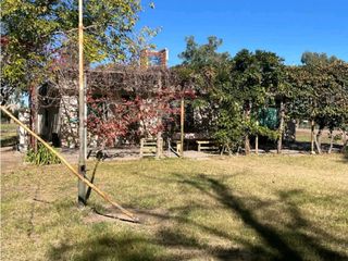 Foto 5 de VENTA DE 40 HAS EN LA DORMIDA, SANTA ROSA- MENDOZA