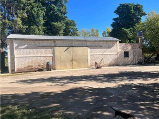 Foto 8 de VENTA DE 40 HAS EN LA DORMIDA, SANTA ROSA- MENDOZA