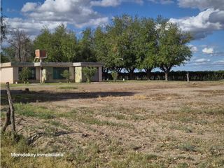 Foto 11 de VENTA DE 40 HAS EN LA DORMIDA, SANTA ROSA- MENDOZA