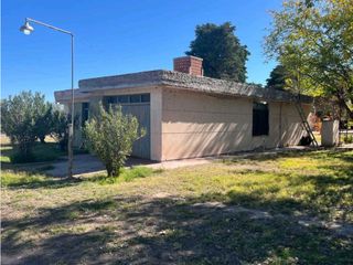 Foto 3 de VENTA DE 40 HAS EN LA DORMIDA, SANTA ROSA- MENDOZA