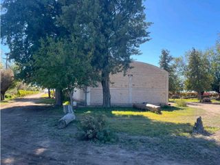 Foto 9 de VENTA DE 40 HAS EN LA DORMIDA, SANTA ROSA- MENDOZA