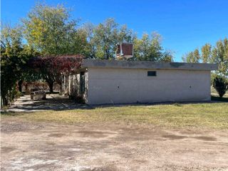 Foto 4 de VENTA DE 40 HAS EN LA DORMIDA, SANTA ROSA- MENDOZA