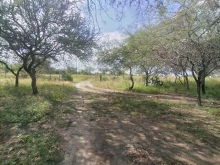 Foto 11 de VENTA DE HECTAREAS CON CASA EN RIO HONDO