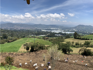 Foto 22 de Venta de Hermoso Lote con Vista en Via la Ceja La Union