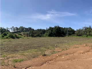 Foto 3 de Venta de Lote Comercial en Rionegro Sector Barro Blanco