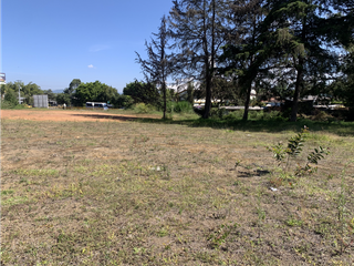 Foto 7 de Venta de Lote Comercial en Rionegro Sector Barro Blanco