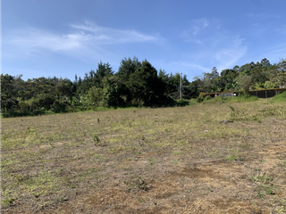 Foto 6 de Venta de Lote Comercial en Rionegro Sector Barro Blanco