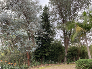 Foto 40 de Venta de Hermosa Casa Finca Independiente en Rionegro