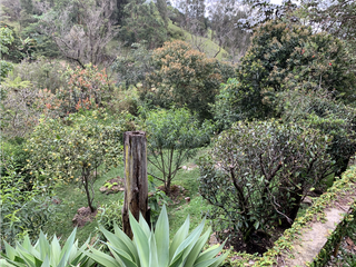 Foto 42 de Venta de Hermosa Casa Finca Independiente en Rionegro