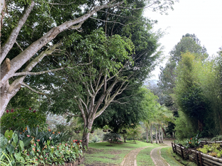 Foto 48 de Venta de Hermosa Casa Finca Independiente en Rionegro
