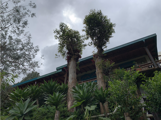 Foto 50 de Venta de Hermosa Casa Finca Independiente en Rionegro