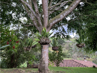 Foto 47 de Venta de Hermosa Casa Finca Independiente en Rionegro