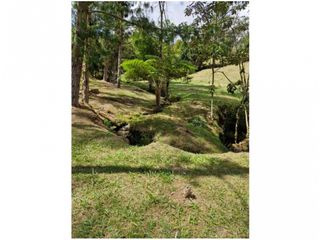 Foto 2 de Venta de Lote en Guarne Vía Aeropuerto Med Bog