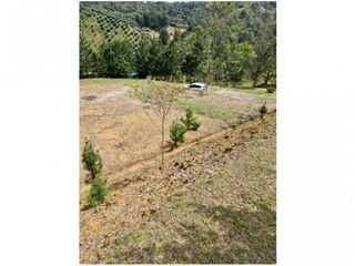 Foto 5 de Venta de Lote en Guarne Vía Aeropuerto Med Bog