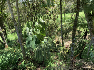 Foto 8 de Venta de Hermoso Lote con Vista en Via la Ceja La Union