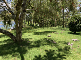 Foto 6 de Venta de Hermoso Lote con Vista en Via la Ceja La Union
