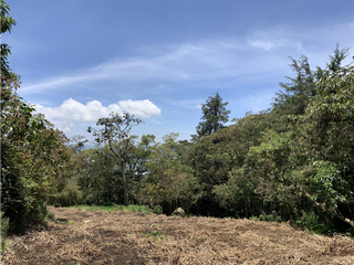 Foto 5 de Venta de Hermoso Lote con Vista en Via la Ceja La Union