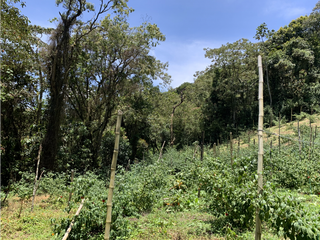 Foto 3 de Venta de Hermoso Lote con Vista en Via la Ceja La Union
