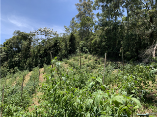Foto 2 de Venta de Hermoso Lote con Vista en Via la Ceja La Union