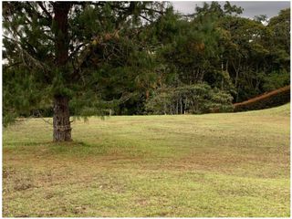 Foto 13 de Venta de Lote en la Vía San Antonio la Ceja, Ubicación y Aprovechable