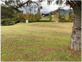 Foto 5 de Venta de Lote en la Vía San Antonio la Ceja, Ubicación y Aprovechable
